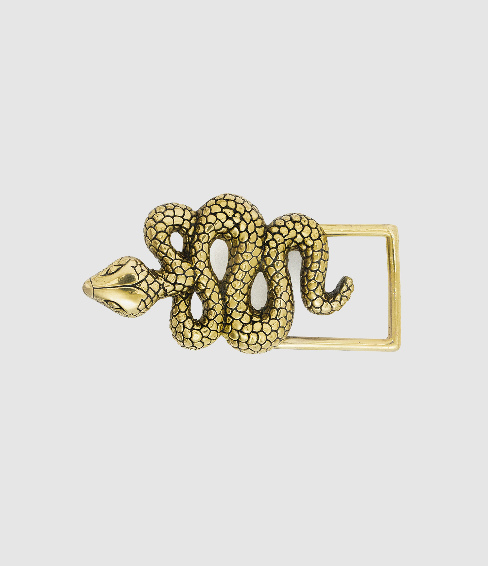 Baby Golden Snake Belt Buckle