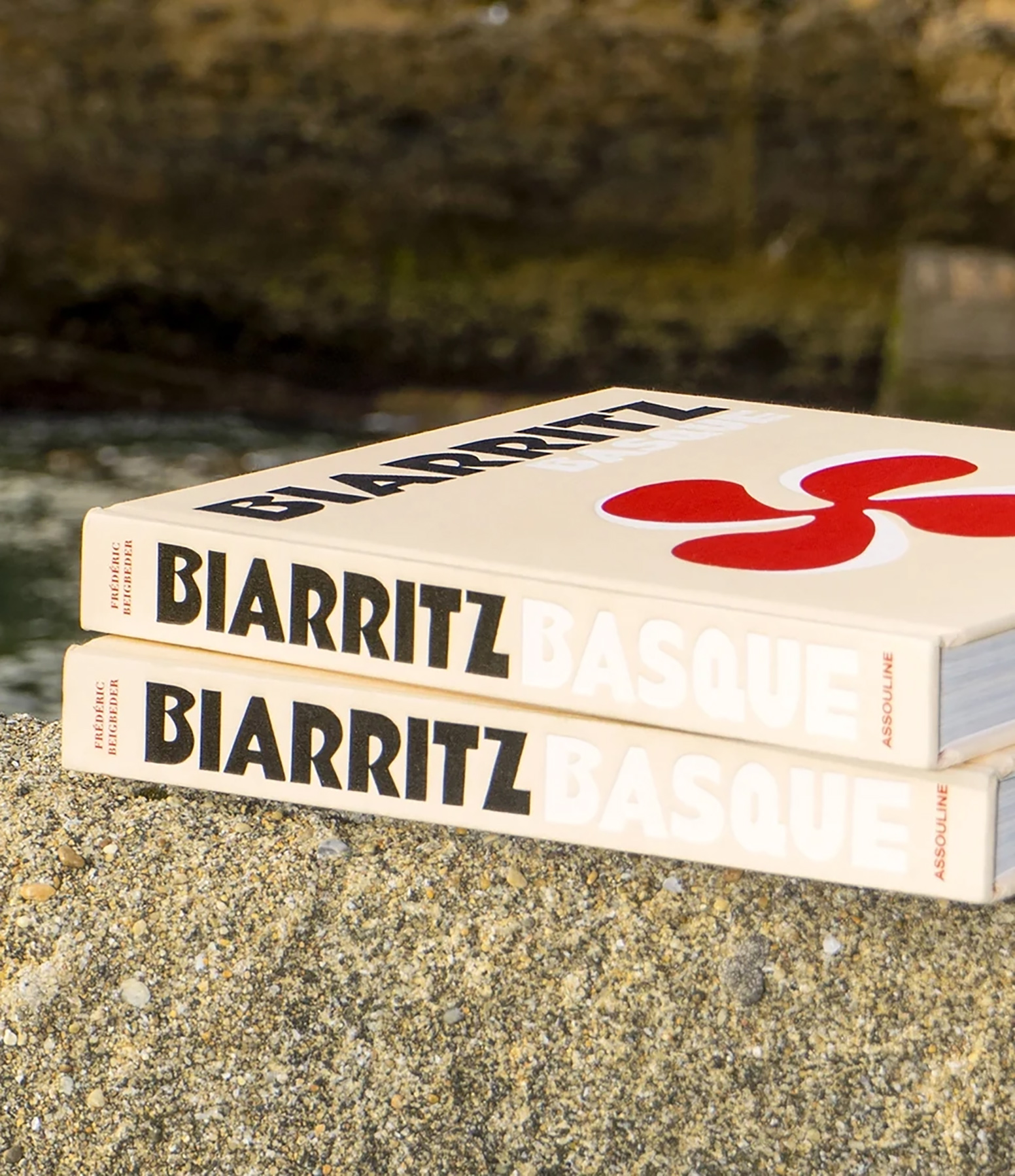 Book: Biarritz Basque