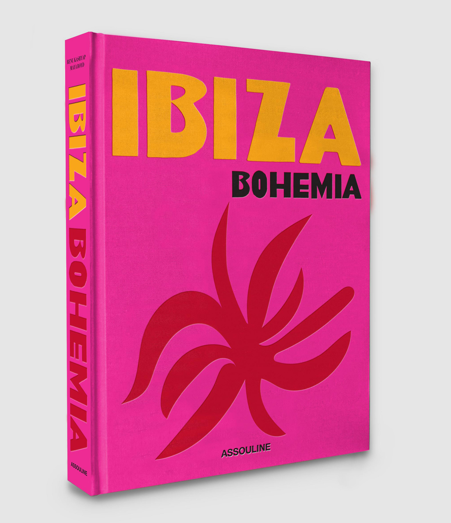 Ibiza Bohemia book