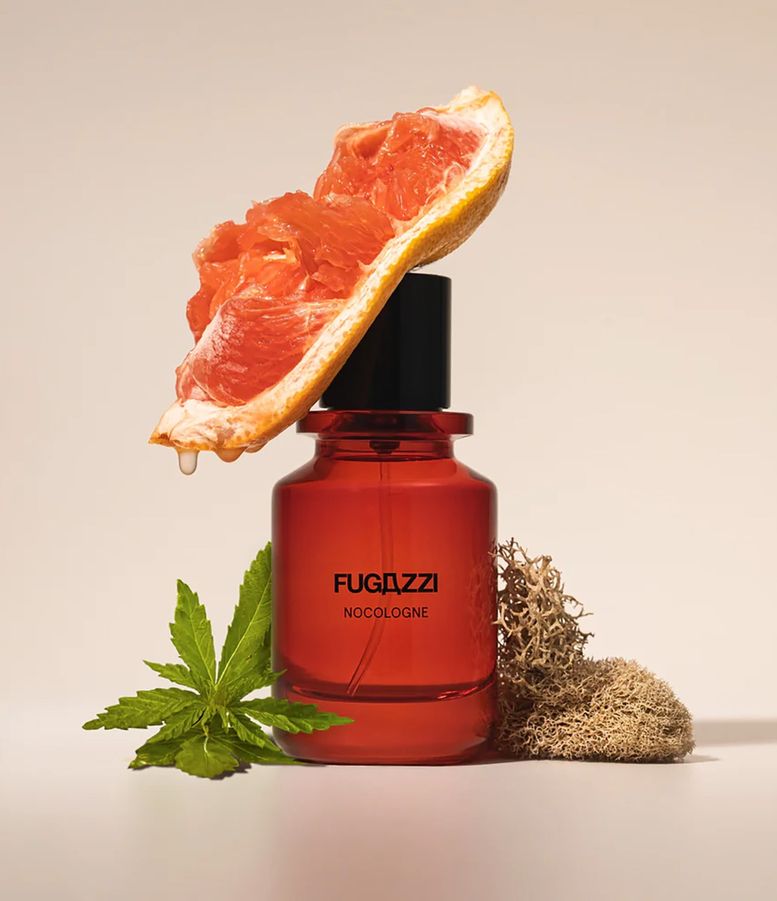 Nocologne Perfume Sample 50ml