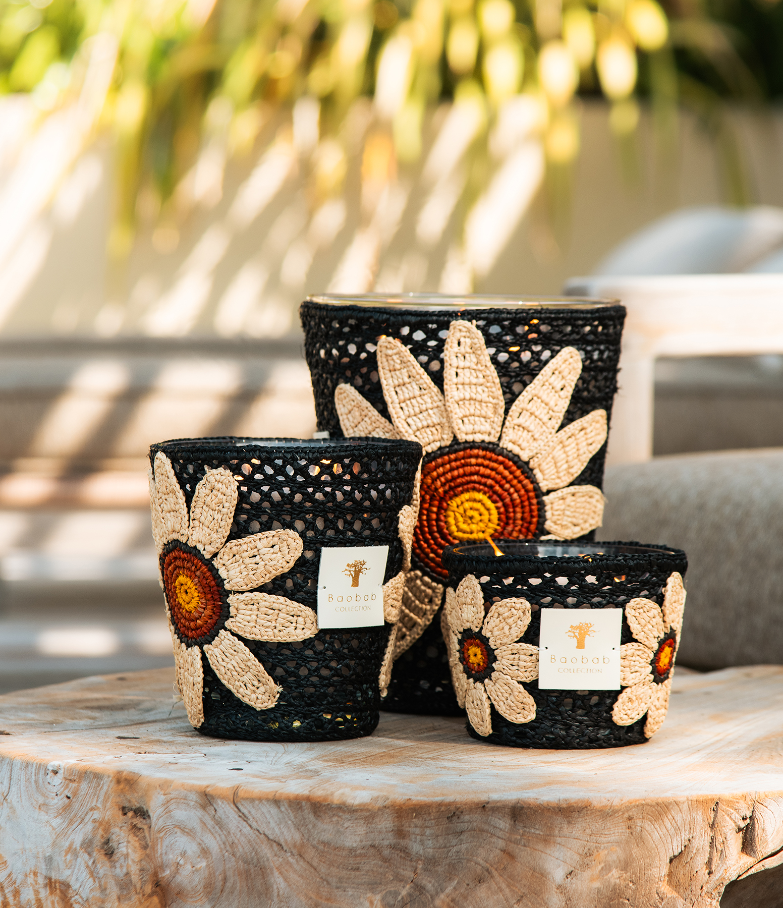 Max 24 Sun Flowers Candle, Exclusive to Lulli