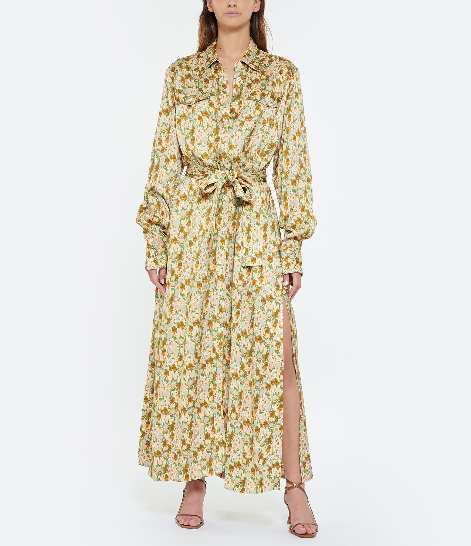 Journey Long Print Dress