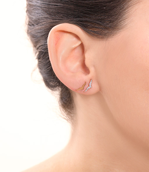 Wise Rose Gold Earrings