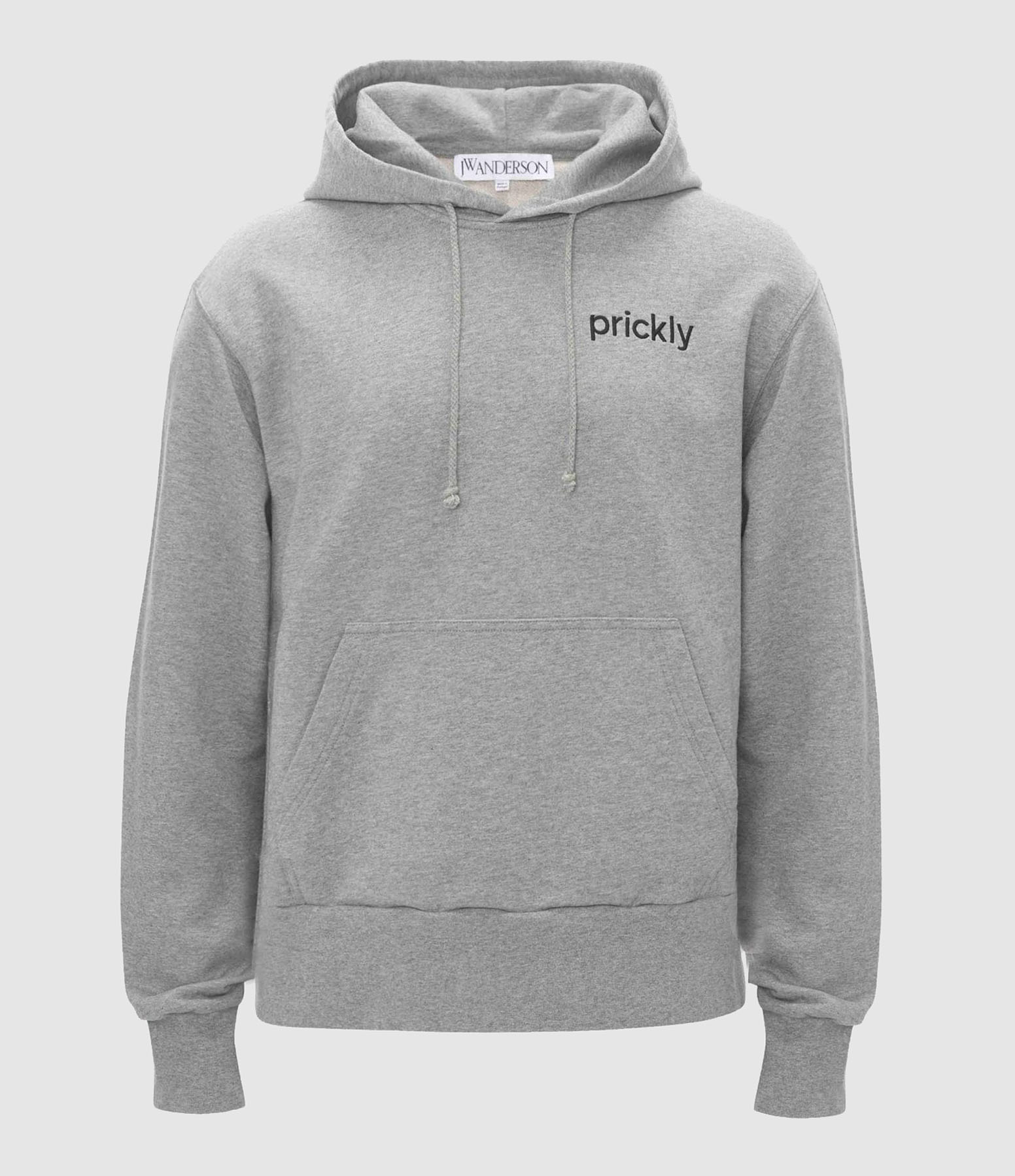 Men's Hooded Sweatshirt with 'Prickly Back' Print in Light Grey
