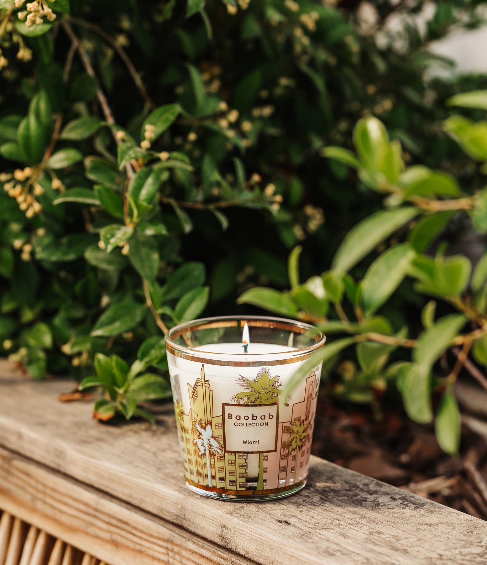 My First Baobab Cities Miami Candle
