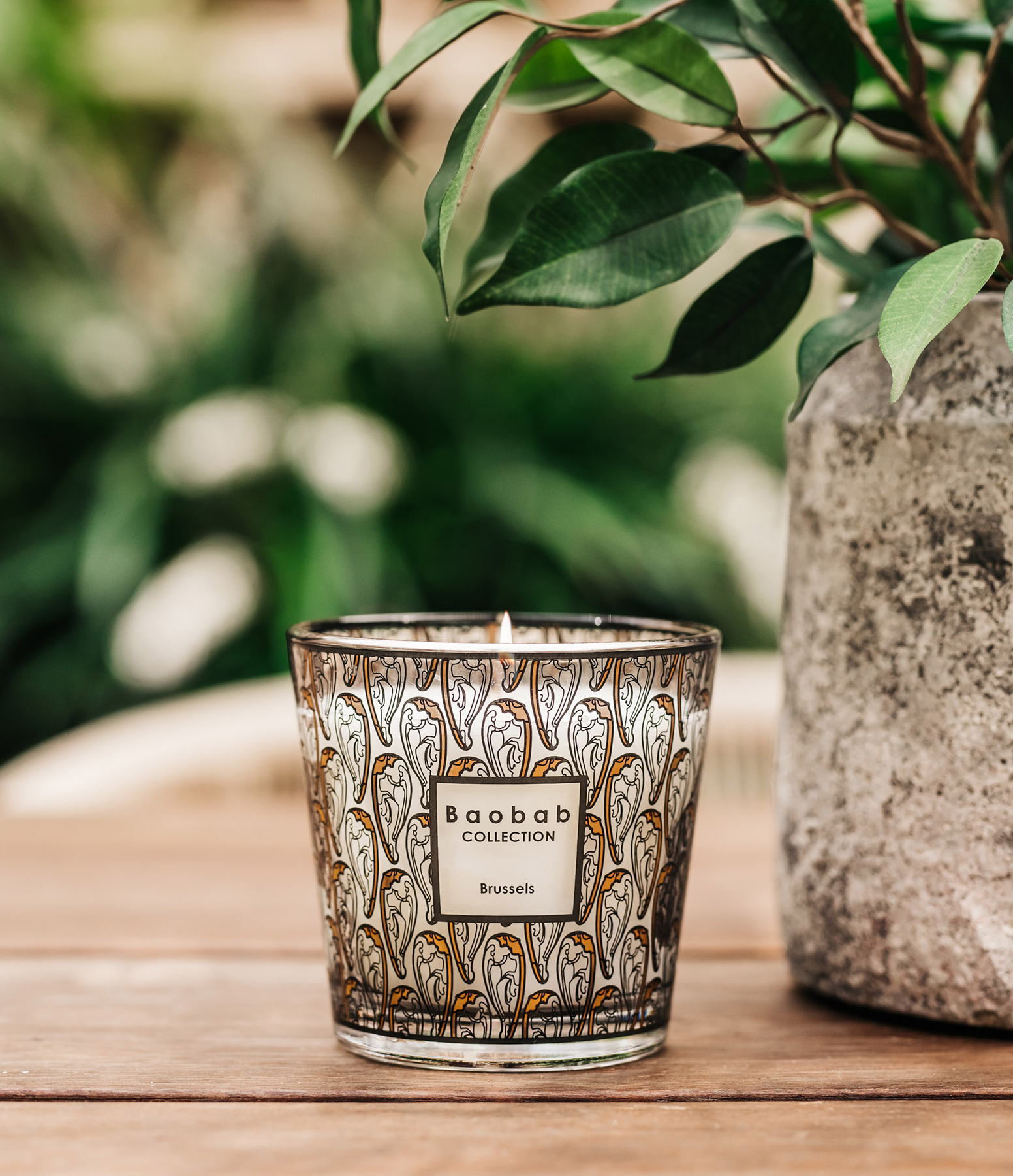 My First Baobab Cities Brussels Candle