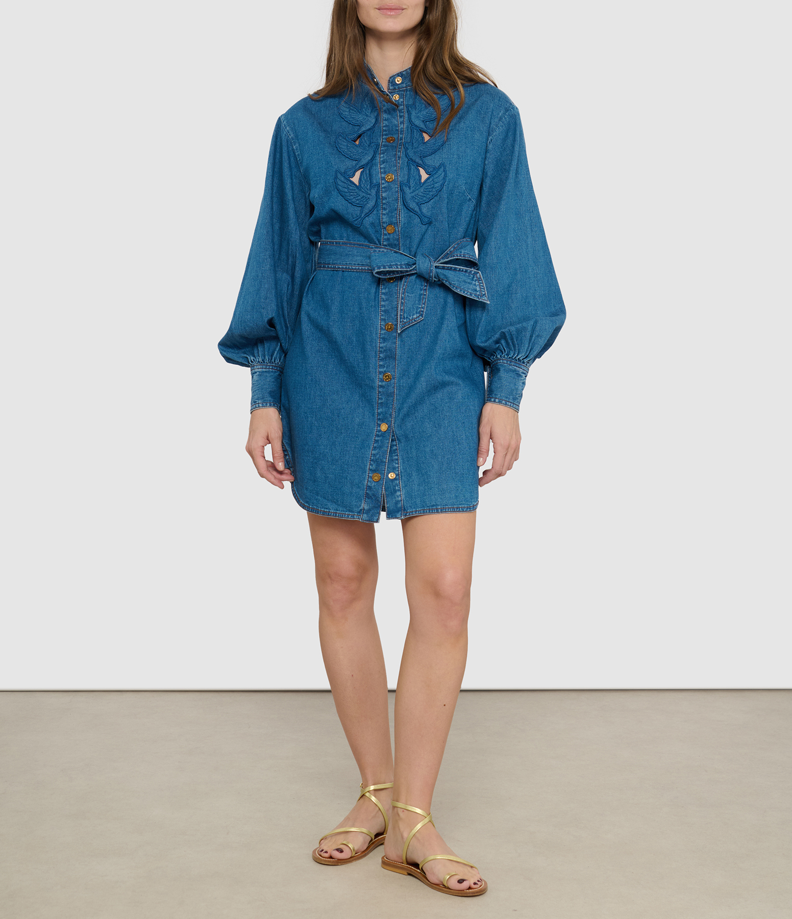 Bay Blue Denim Appliqué Dress