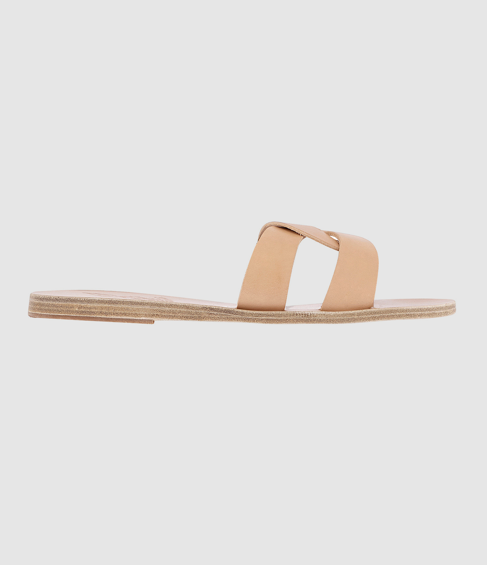 Mules Desmos Camel