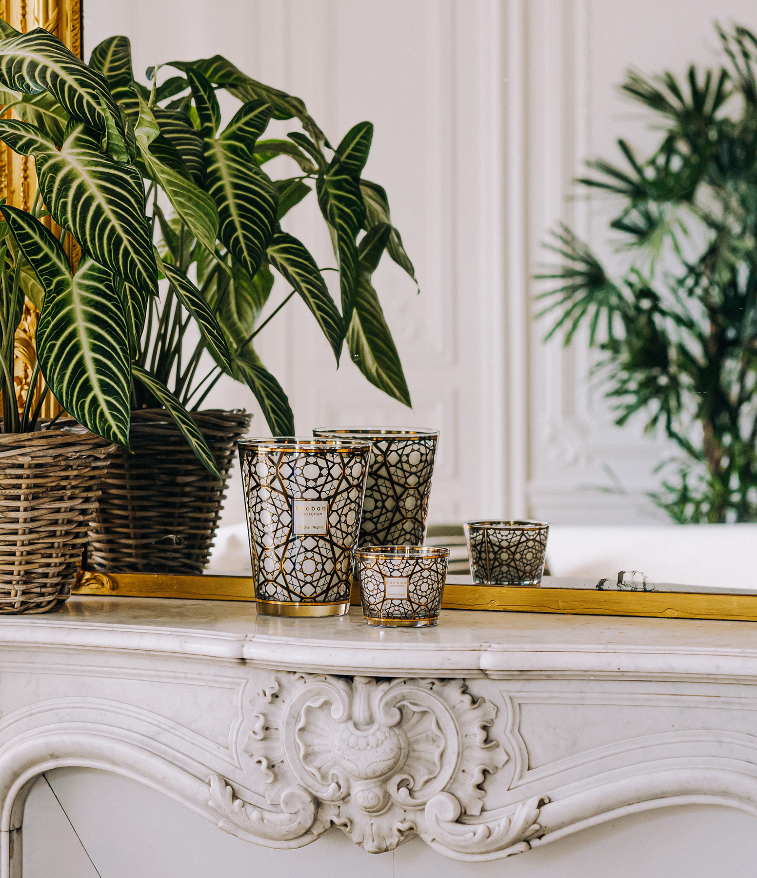 Bougie Max 24 Arabian, Édition Limitée