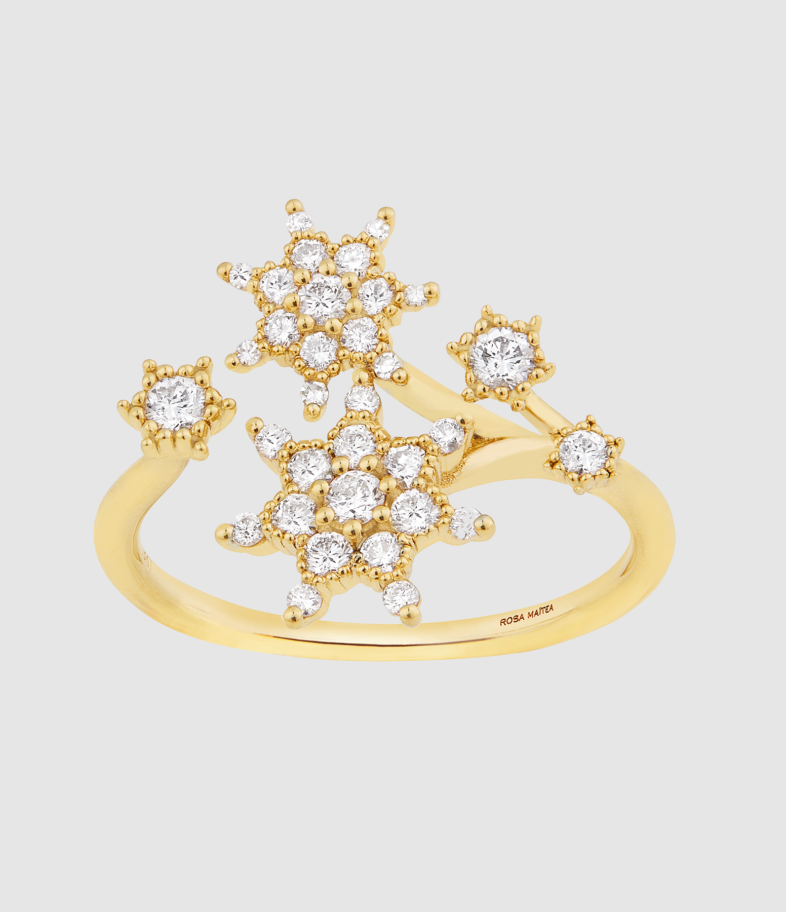 Bague Jardin Cosmique