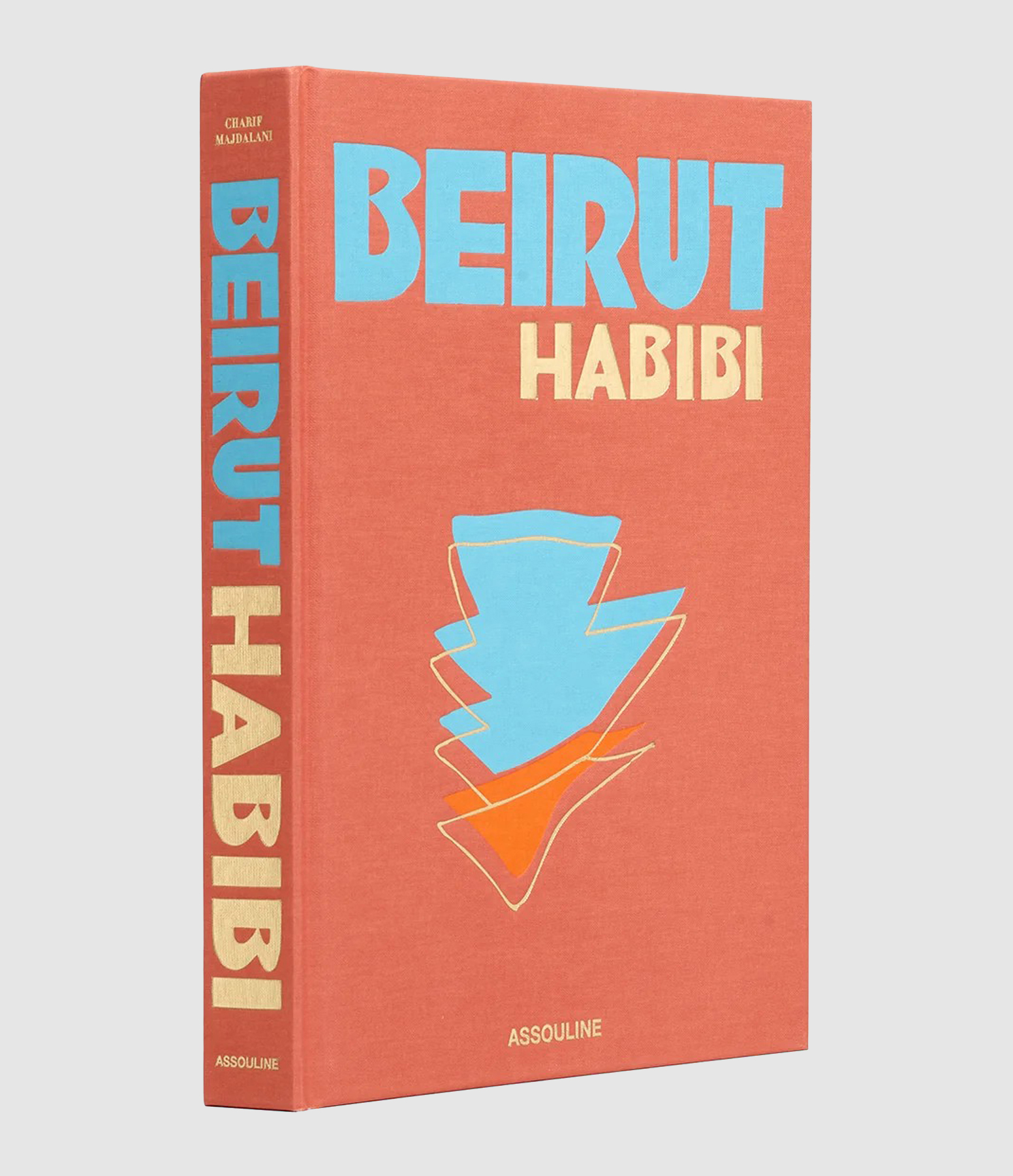 Livre Beirut Habibi