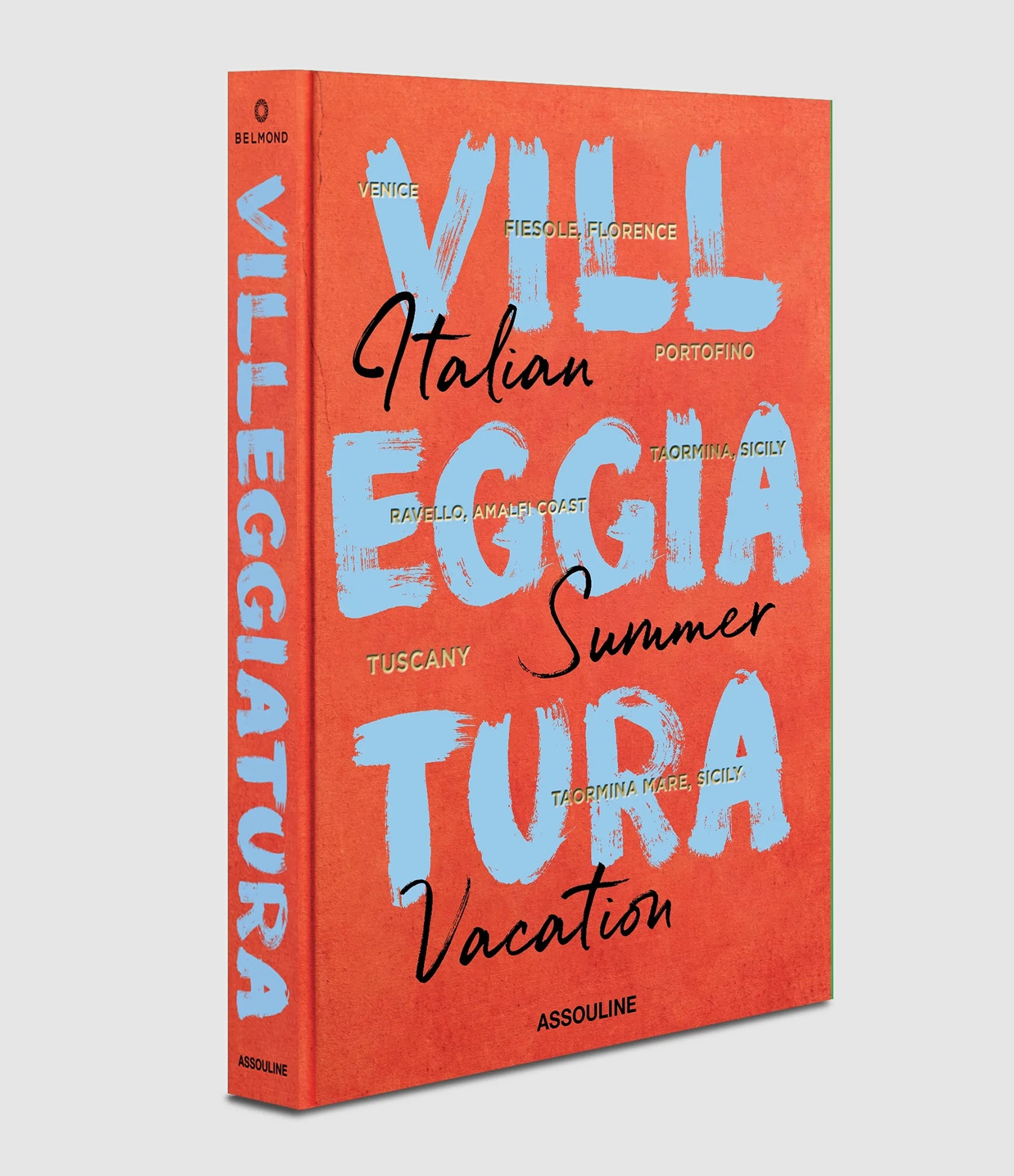 Livre Villegiatur a: Italian Summer Vacation