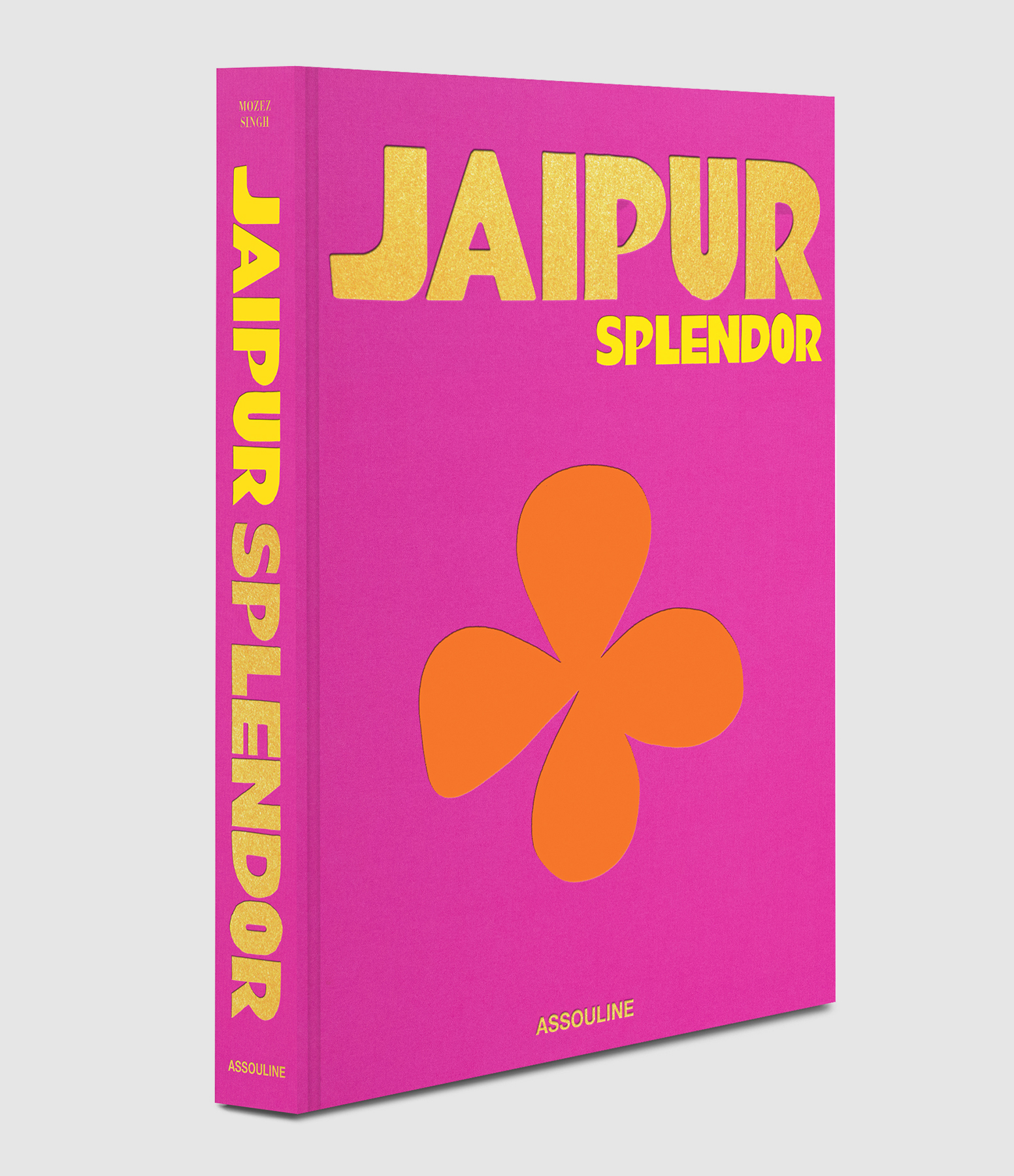 Livre Jaipur Splendor