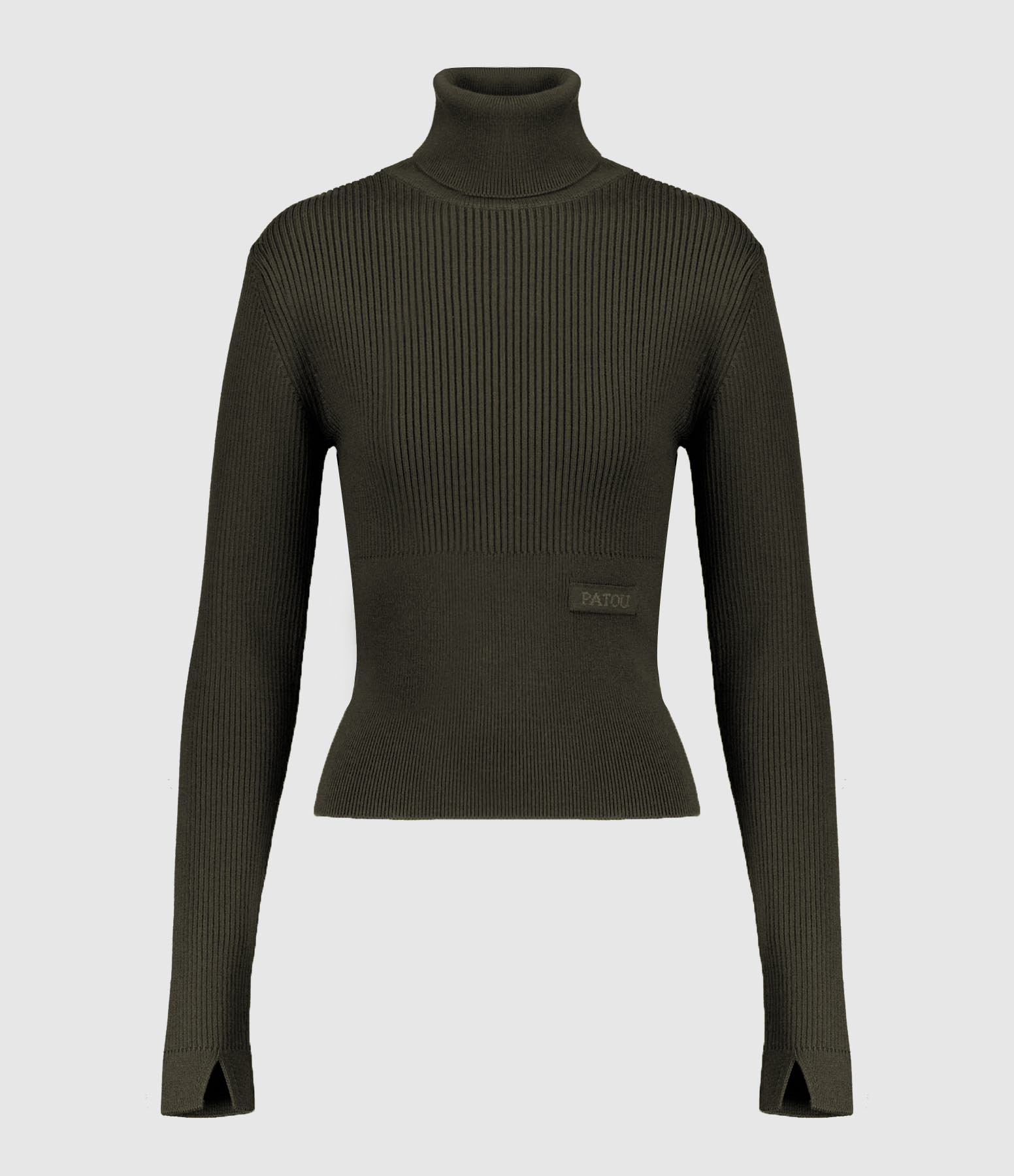 Sweatshirt Signature Rib Turtleneck Laine Vert