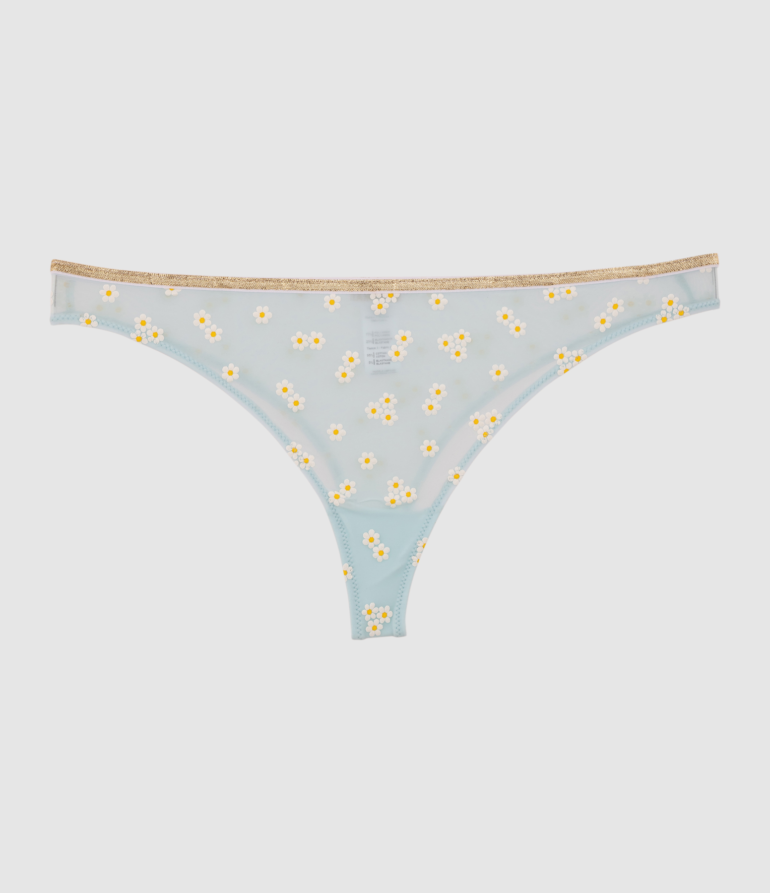 Brésilien Georgia Daisy