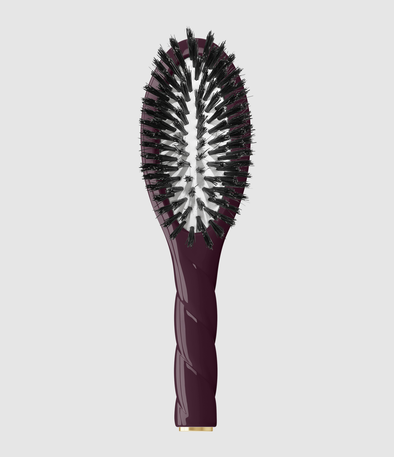 N.01 La Petite Brosse Brillance & Soin l’Universelle Aubergine