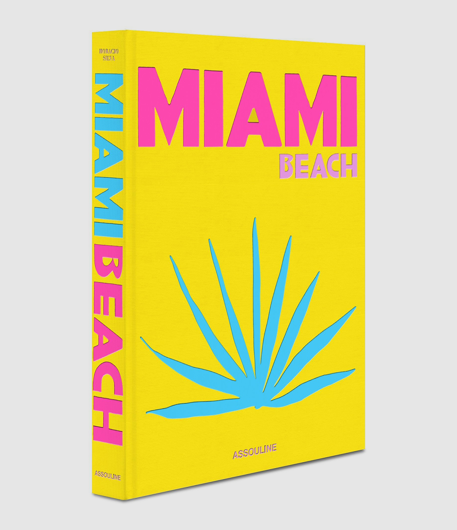 Livre Miami Beach