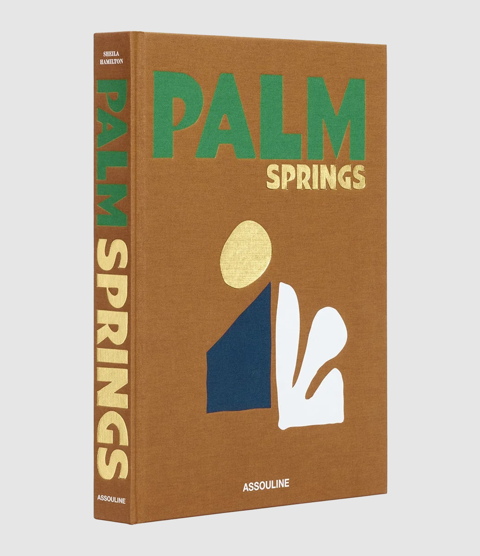 Livre Palm Spring