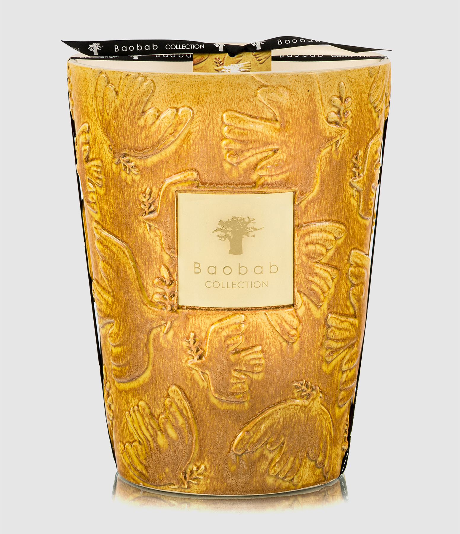 Bougie Max 24 Paz Dove, Édition Limitée