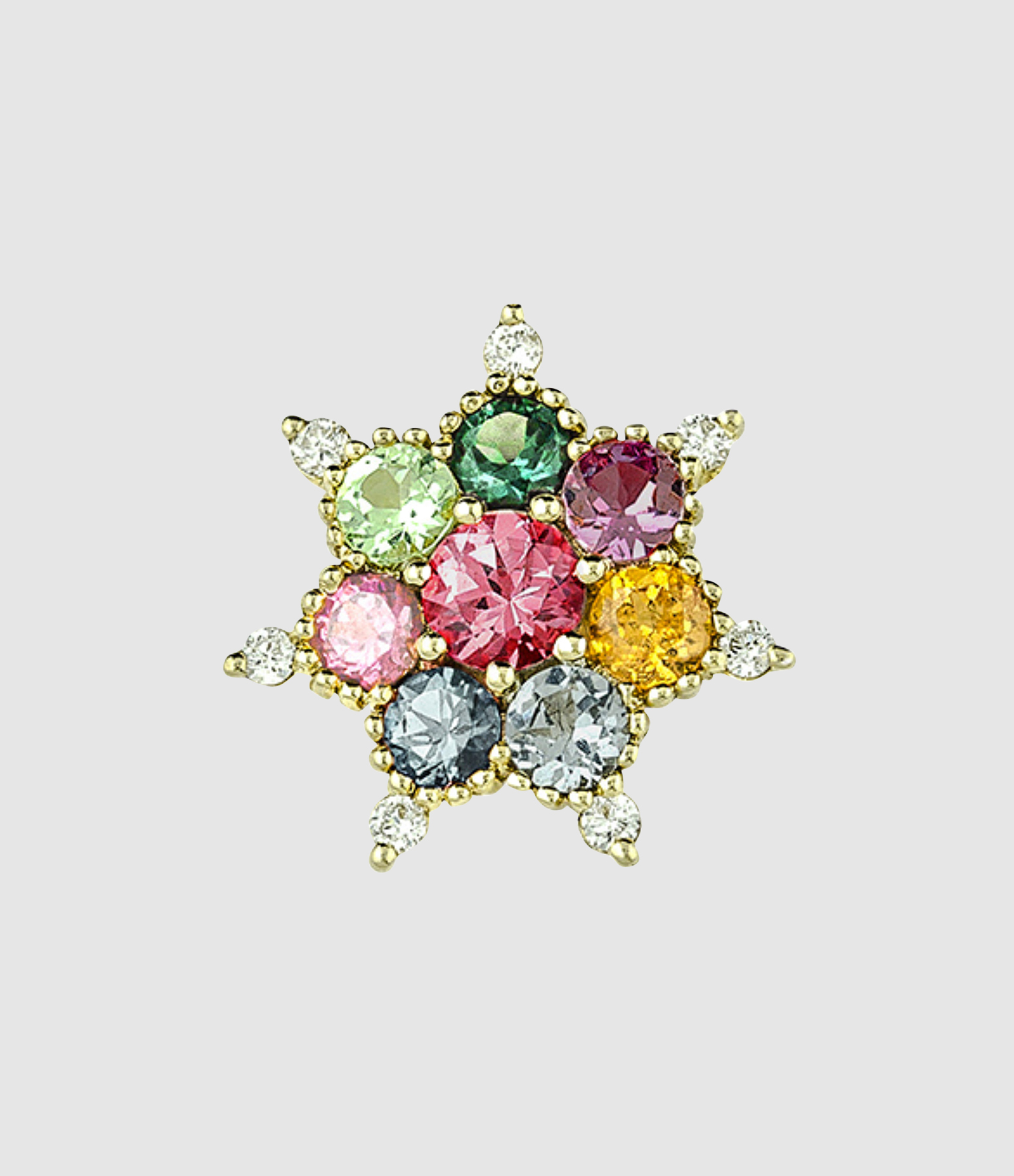 Puce d'Oreille Arcoiris, vendue à l'unité