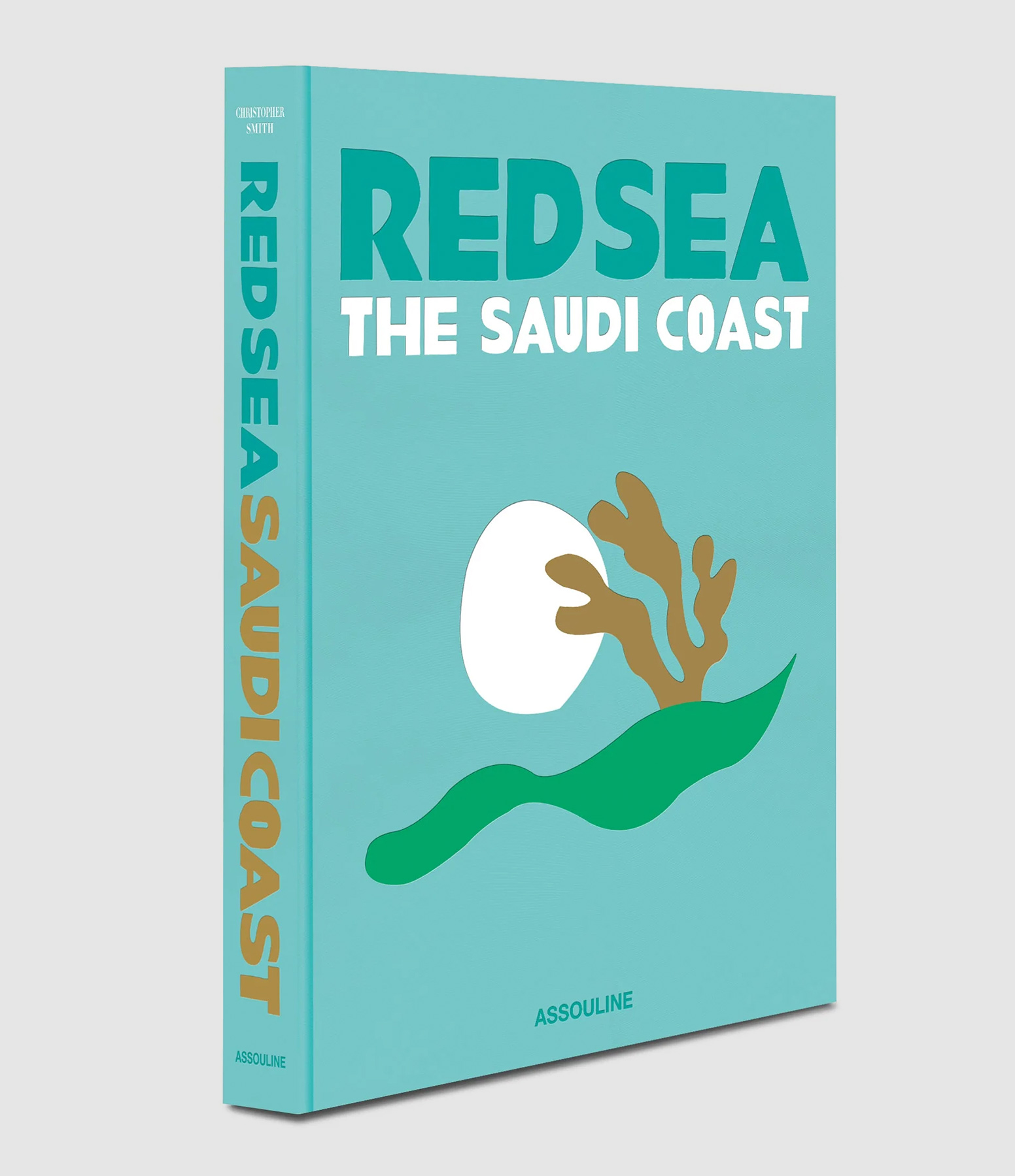 Livre Red Sea : The Saudi Cost