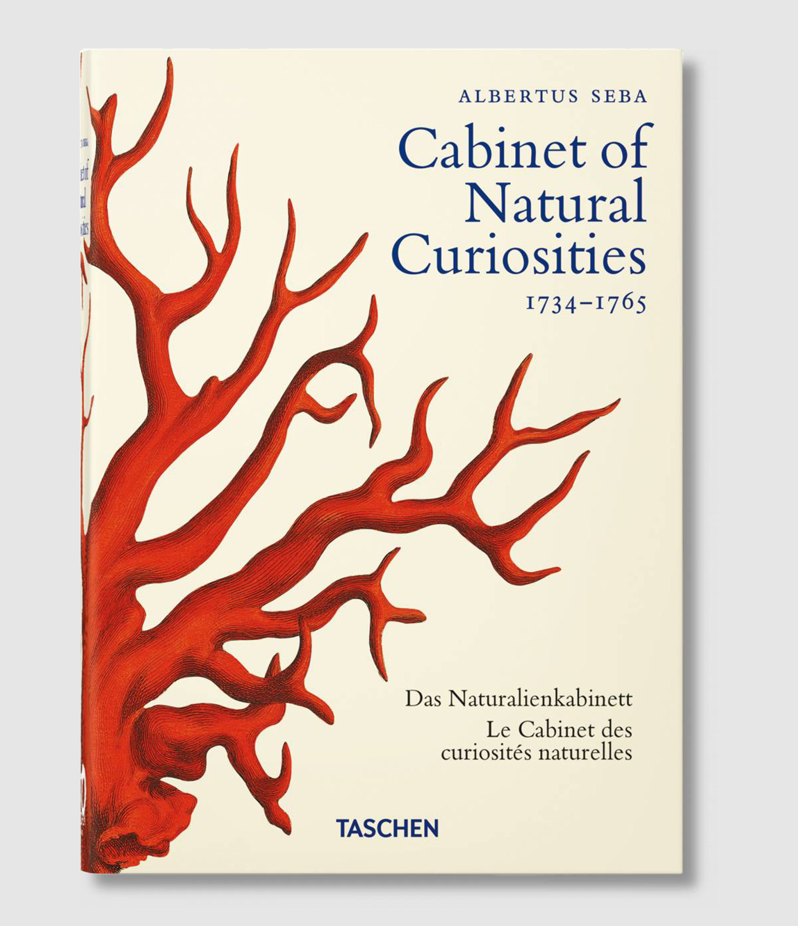 Albertus Seba. Cabinet de curiosités naturelles. main image 1