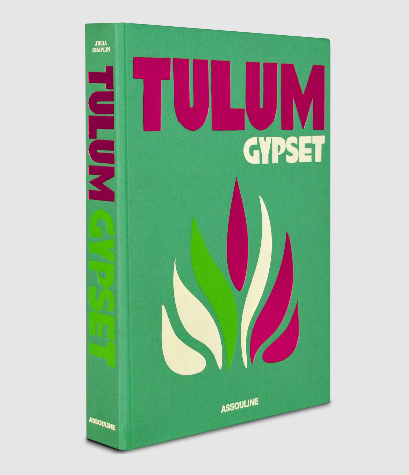 Livre Tulum Gypset