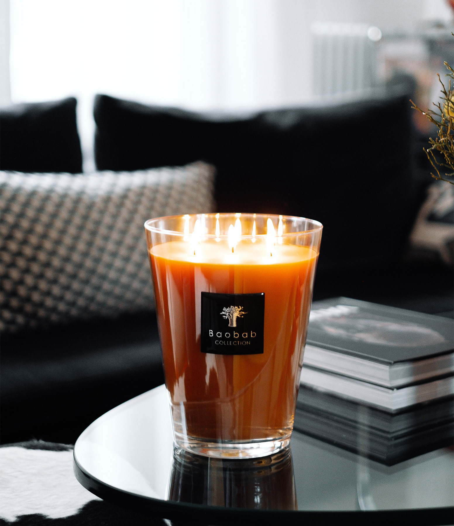 Bougie Max 24 All Seasons Zanzibar Spices 