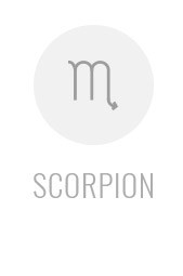 scorpion