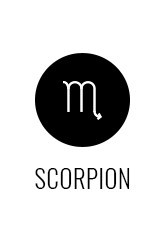 scorpion